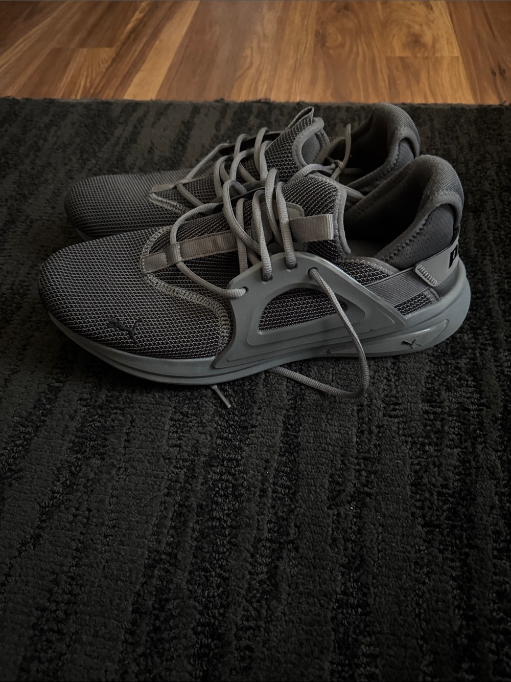 Gray Pumas